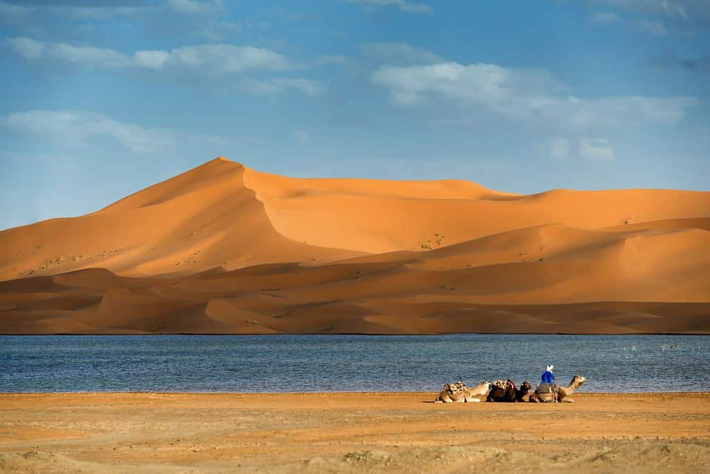 Erg Chebbi Dunes