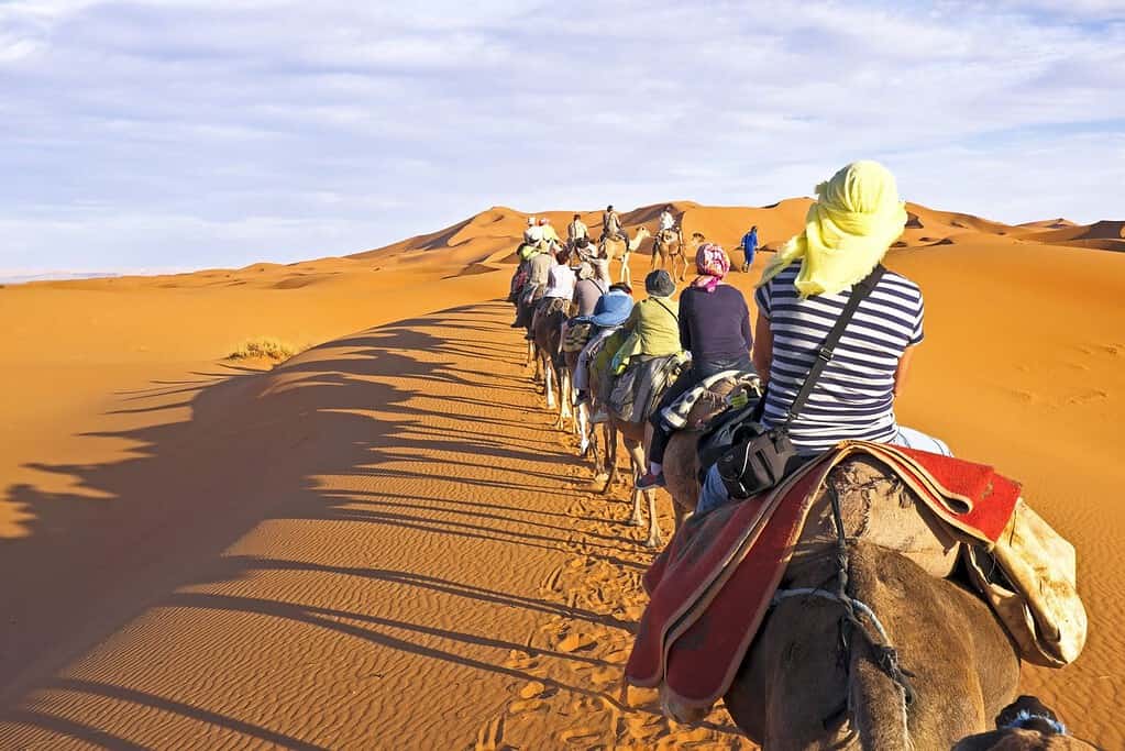 Erg Chebbi