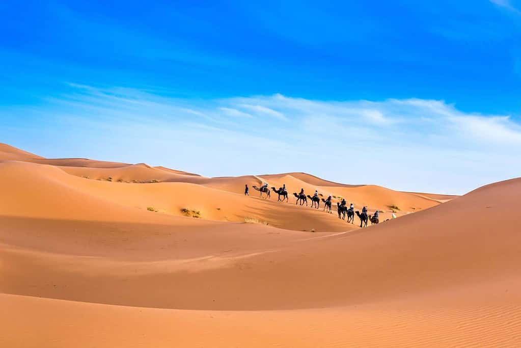 DESERT MOROCCO Desert Morocco