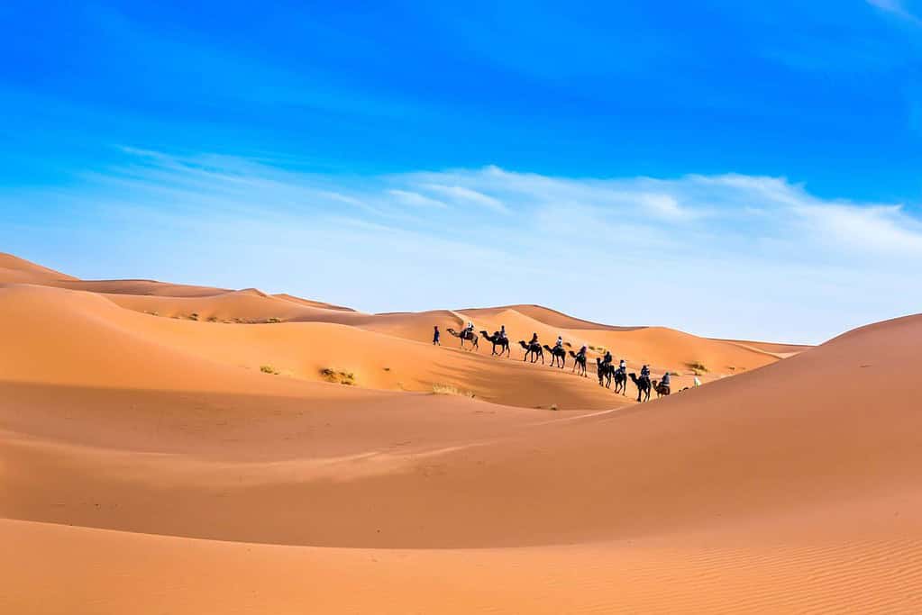 Erg Chebbi