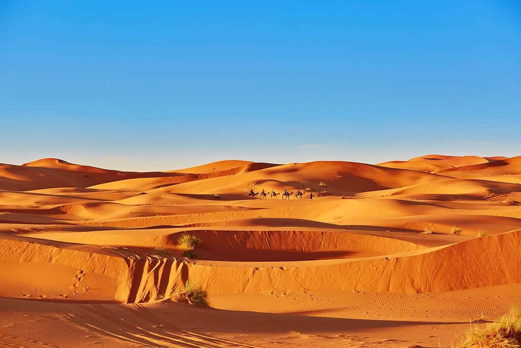 Wycieczka z Marrakeszu - Pustynia i Szlak 1000 Kazb – 5 dni 8 Erg Chebbi