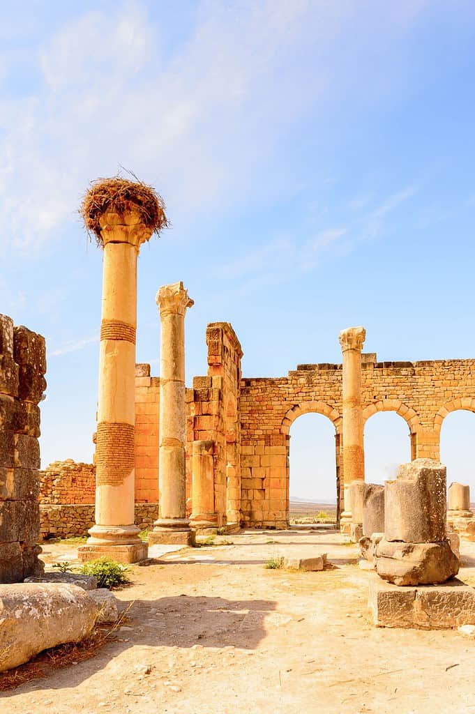 travel agent in morocco travel agent in morocco