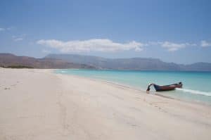 8-day Travel to Socotra tour - Uncover Yemen's untamed island Shouab Beach Socotra Yemen