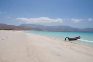 Shouab Beach Socotra Yemen 8-day Travel to Socotra tour - Uncover Yemen's untamed island Shouab Beach Socotra Yemen