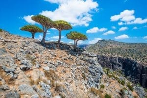 Visit Socotra Island