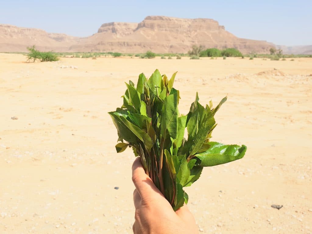 YEMEN HOLIDAYS 4 Travel Destinations Hadhramaut Yemen