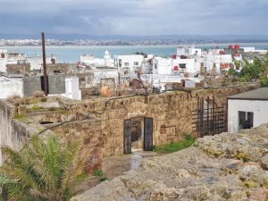Arwad Island Syria Arwad Island