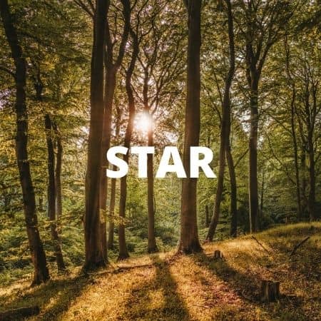 INSURANCE STAR Insurance INSURANCE STAR