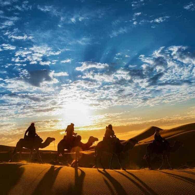 MOROCCAN DESERT