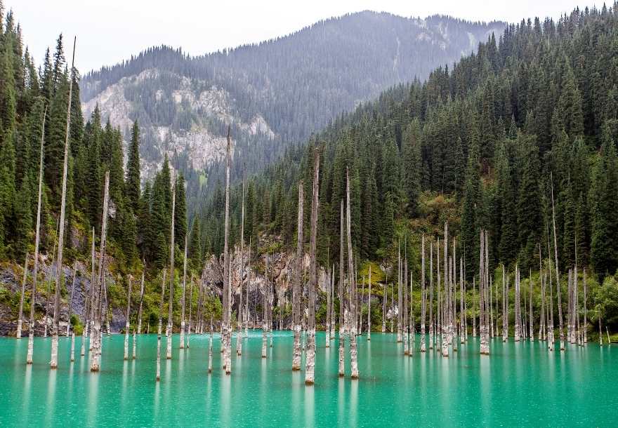 Saty Kaindy Lake Kazakhstan Travel Destinations, Asia Tours in Kazakhstan Saty Kaindy Lake Kazakhstan