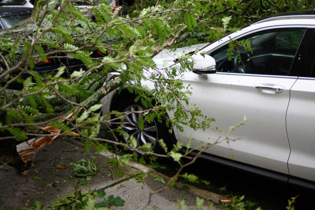 michael jin mCj7atG0nEc unsplash Uncategorised The 5 most common car insurance claims michael jin mCj7atG0nEc unsplash