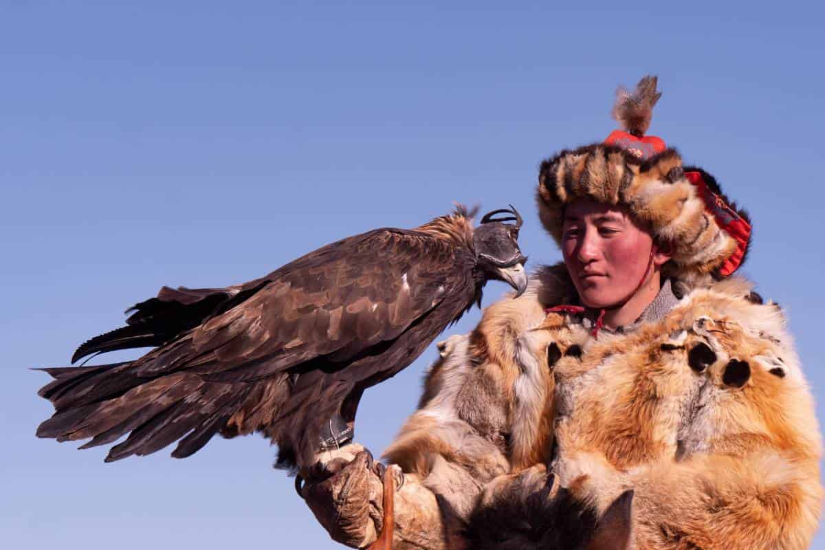 Tours in Mongolia