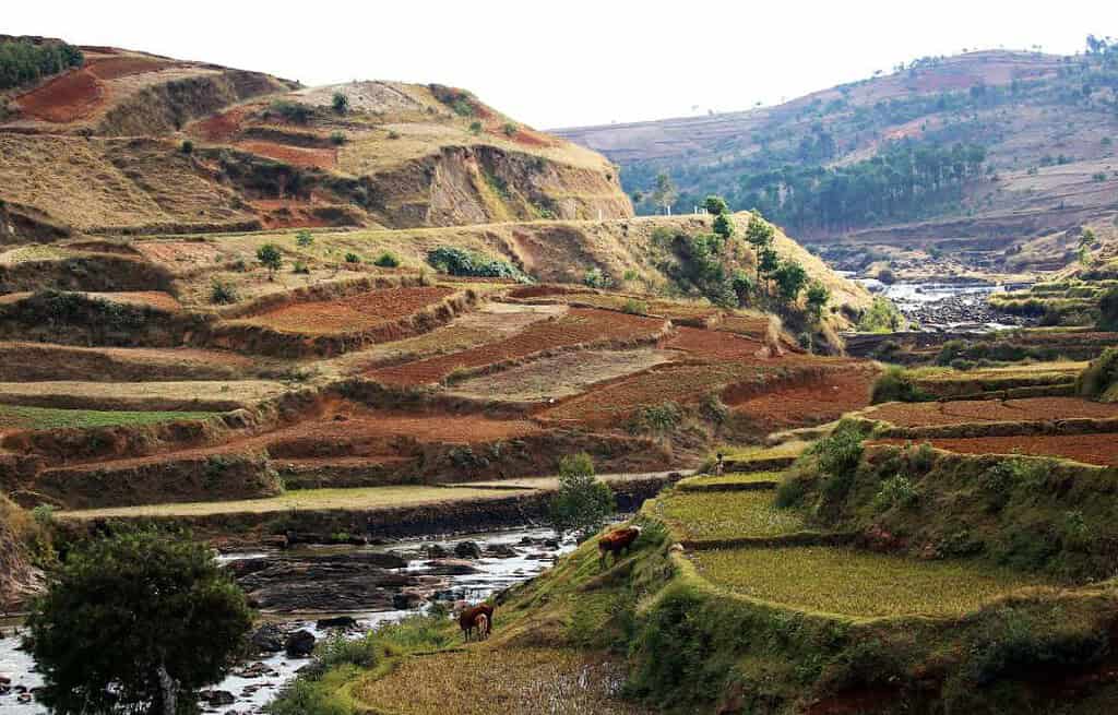 Antsirabe Madagascar Antsirabe Madagascar