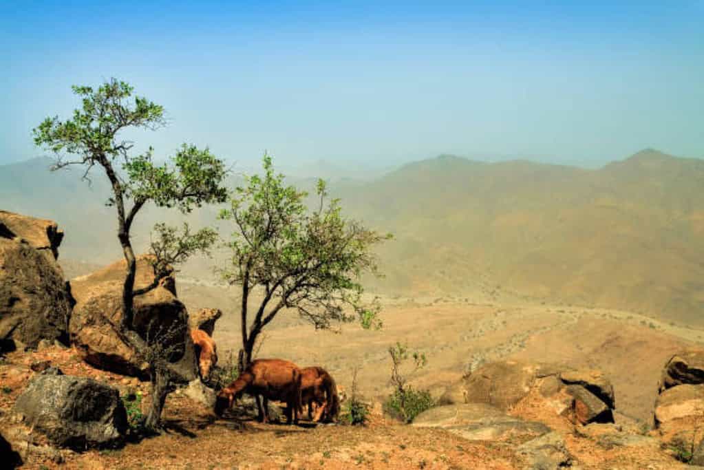 Arkawit Sudan Travel Destinations, Africa, Featured Arkawit Sudan