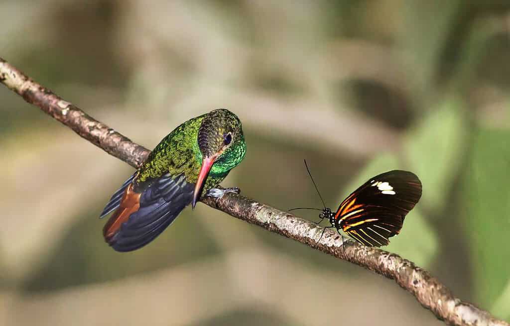 Atacames Ecuador Travel Destinations, Americas Atacames Ecuador