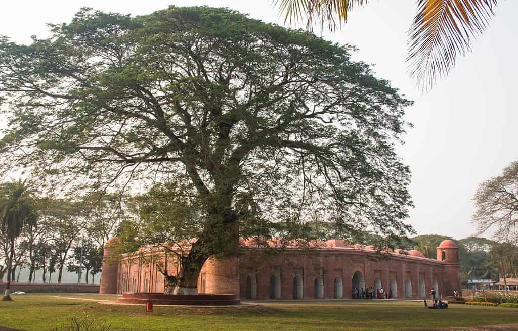 Bagerhat Bangladesh Travel Destinations, Asia Bagerhat Bangladesh