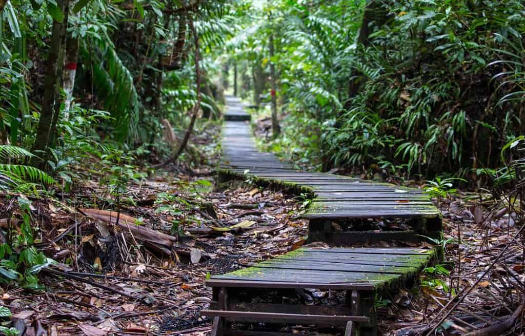 Bako National Park Malaysia Travel Destinations, Asia Bako National Park Malaysia