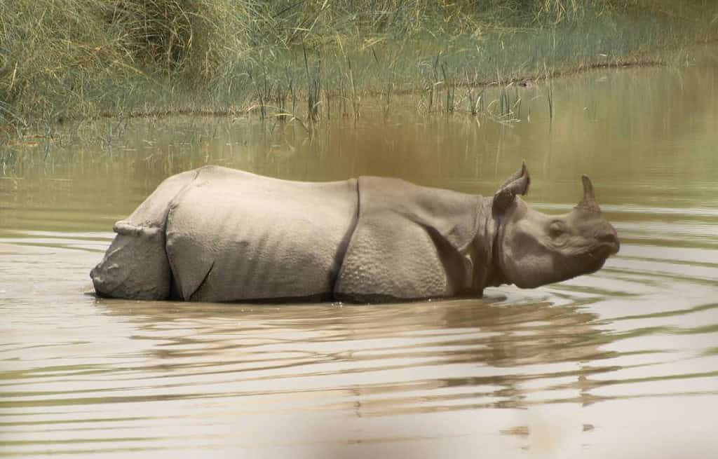 Bardiya National Park Nepal Travel Destinations, Asia Bardiya National Park Nepal