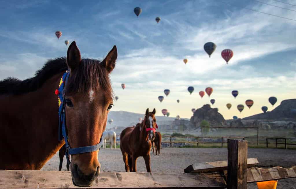 Cappadocia Turkey