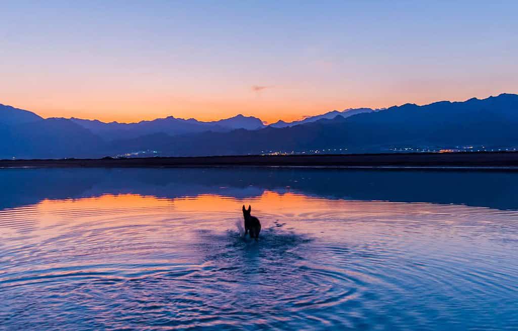 Dahab Egypt