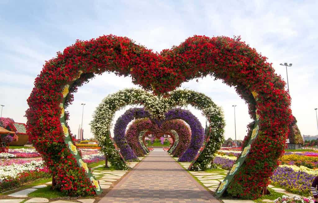 Dubai Miracle Garden United Arab Emirates Dubai Miracle Garden United Arab Emirates