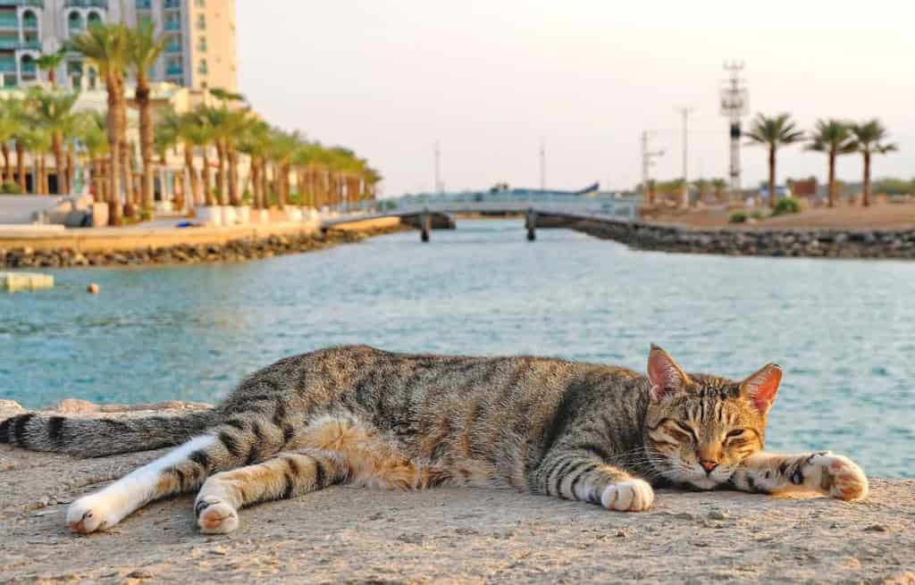Eilat Israel Travel Destinations, Asia Eilat Israel