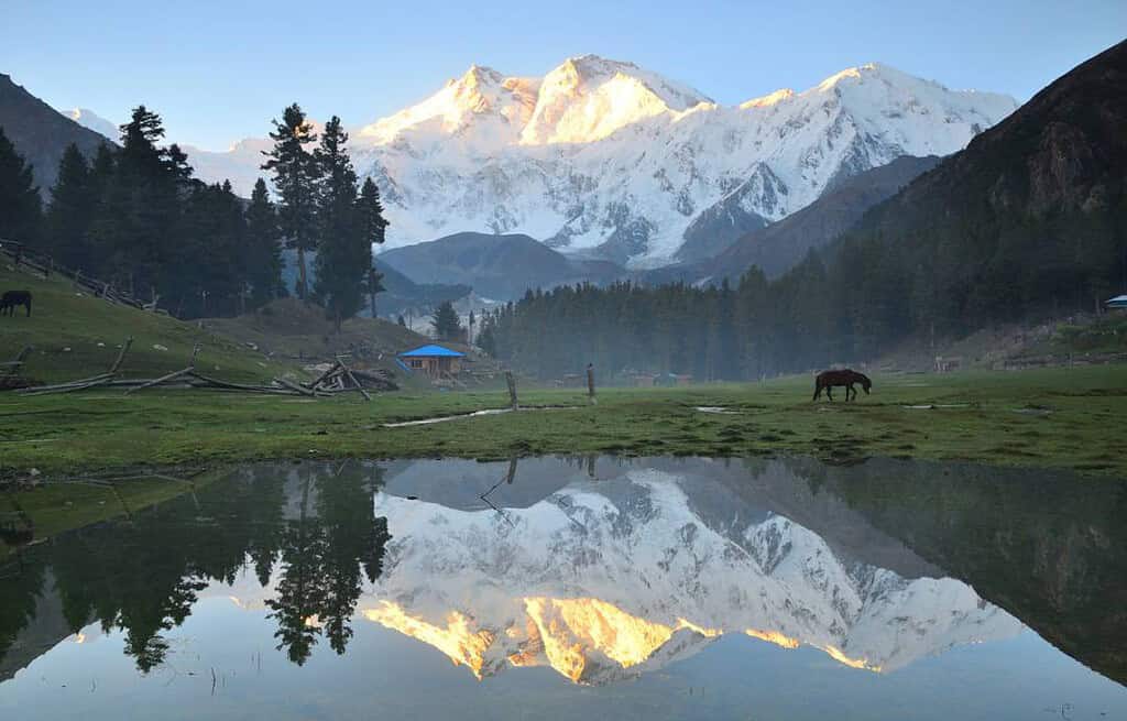 Fairy Meadows Fairy Meadows Pakistan