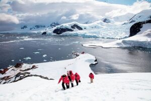 12-day travel to Antarctica with Peninsula - Realm of Penguins and Icebergs Falklands South Georgia Antarctica 4 1