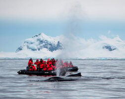 last-minute Antarctica cruises