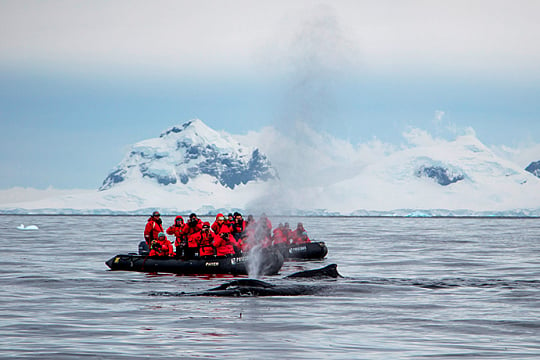 last-minute Antarctica cruises