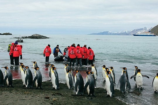 Falklands, South Georgia & Antarctica (6)