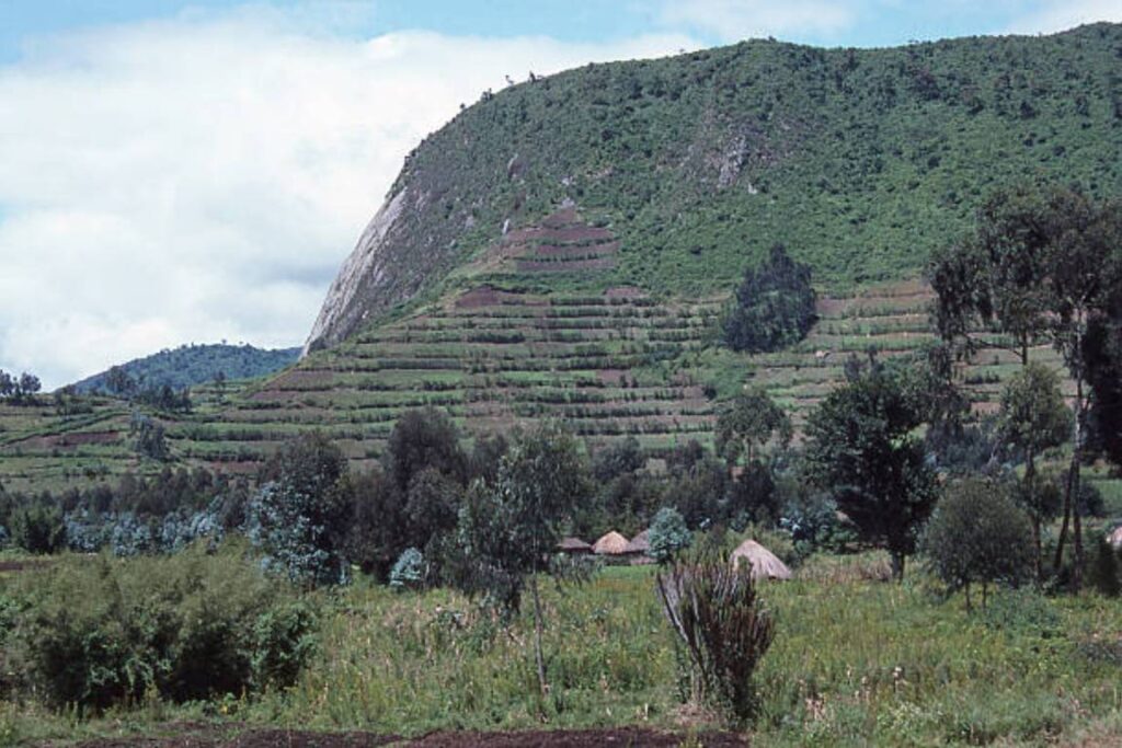 Gishwati Forest National Park Rwanda