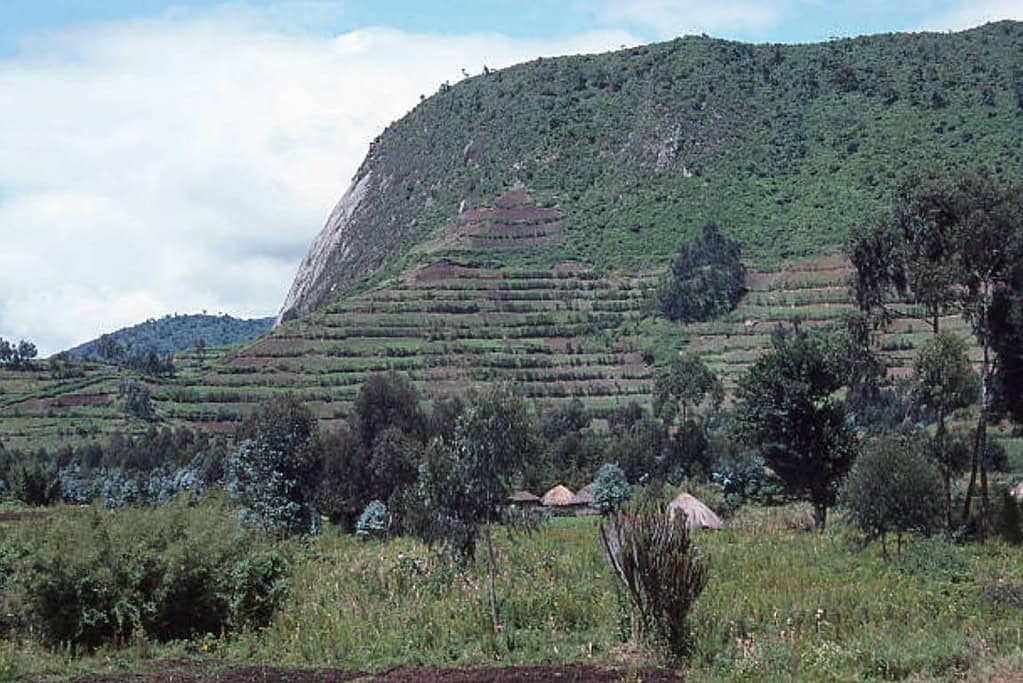 Gishwati Forest National Park Rwanda Travel Destinations Gishwati Forest National Park Rwanda