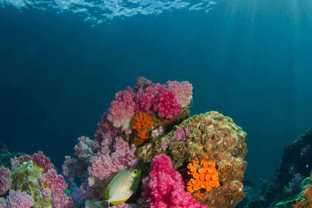 Koh Lipe Thailand Travel Destinations, Asia Koh Lipe Thailand