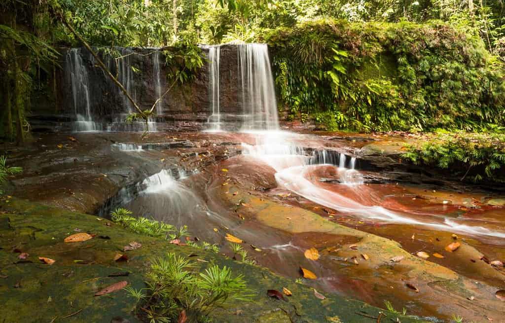 Lambir Hills National Park Malaysia Travel Destinations, Asia Lambir Hills National Park Malaysia