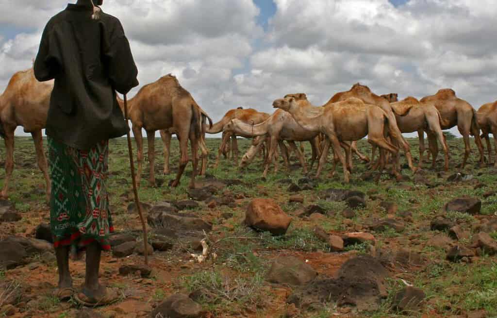 Marsabit Kenya Travel Destinations, Africa Marsabit Kenya