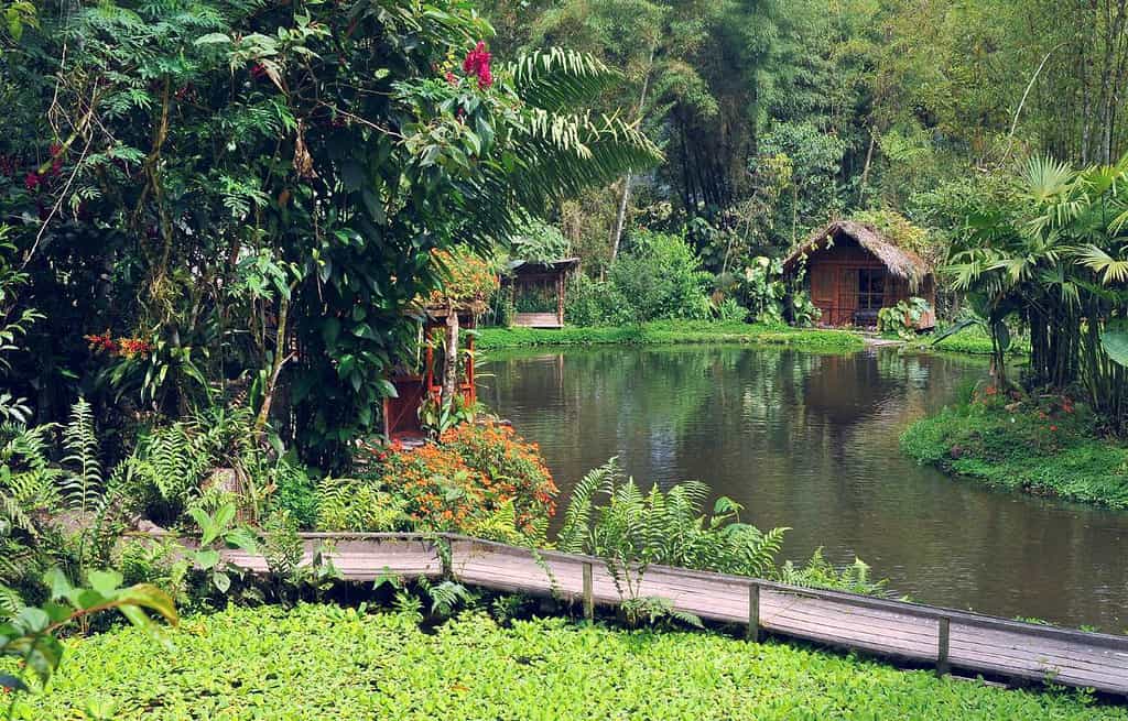 Mindo Ecuador Travel Destinations, Americas Mindo Ecuador