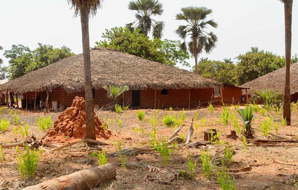Mole National Park Guinea Bissau Travel Destinations, Africa Mole National Park Guinea-Bissau