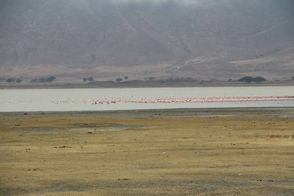 Ngorongoro Conservation Area Tanzania Travel Destinations, Africa Ngorongoro Conservation Area Tanzania