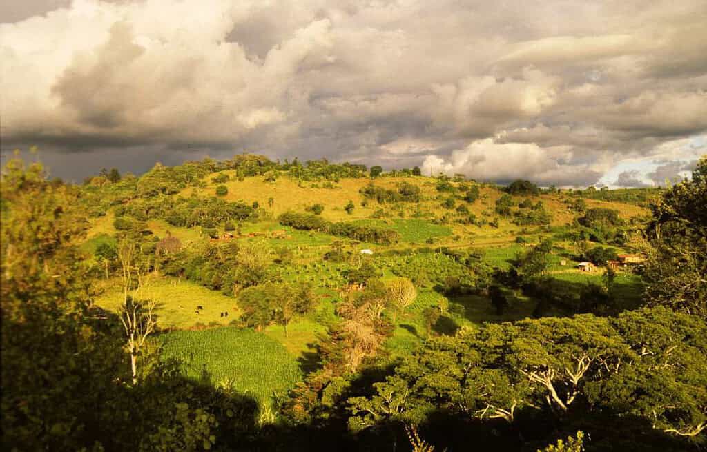 Nyeri Kenya Travel Destinations, Africa Nyeri Kenya