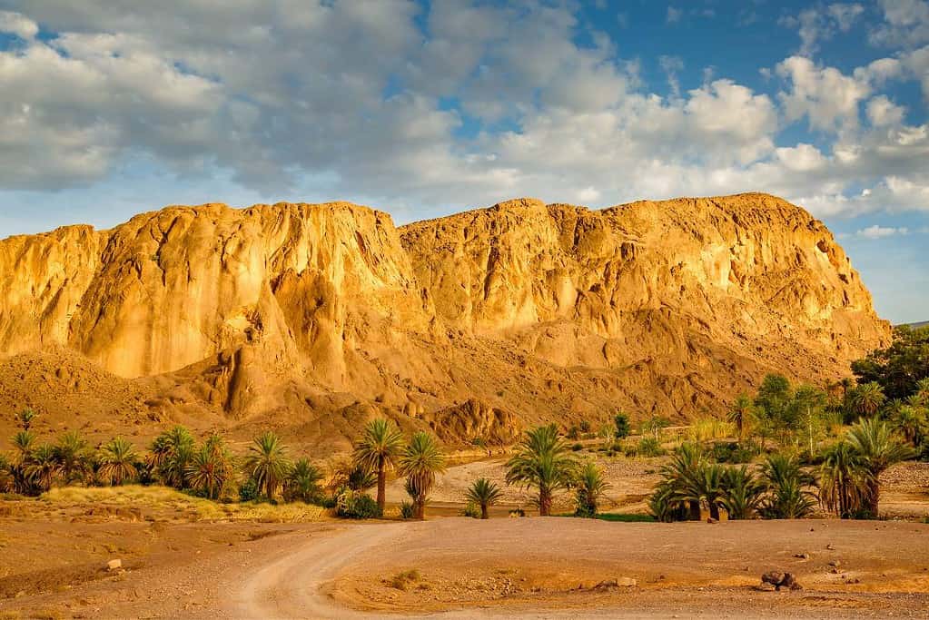 Oasis Fint Ouarzazate Morocco