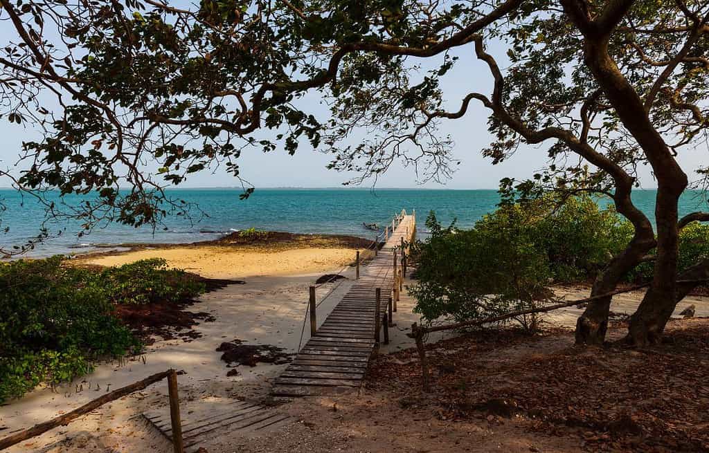 Orango Island Guinea Bissau Travel Destinations, Africa Orango Island Guinea-Bissau