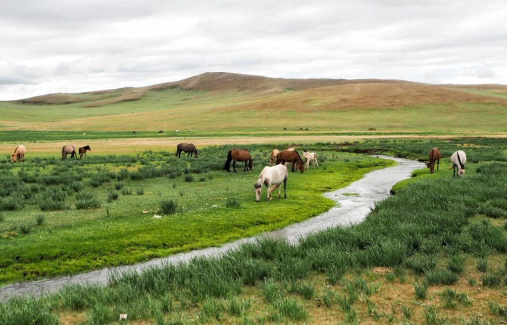 Orkhon Valley Mongolia