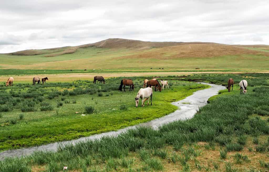 Orkhon Valley Mongolia Orkhon Valley Mongolia