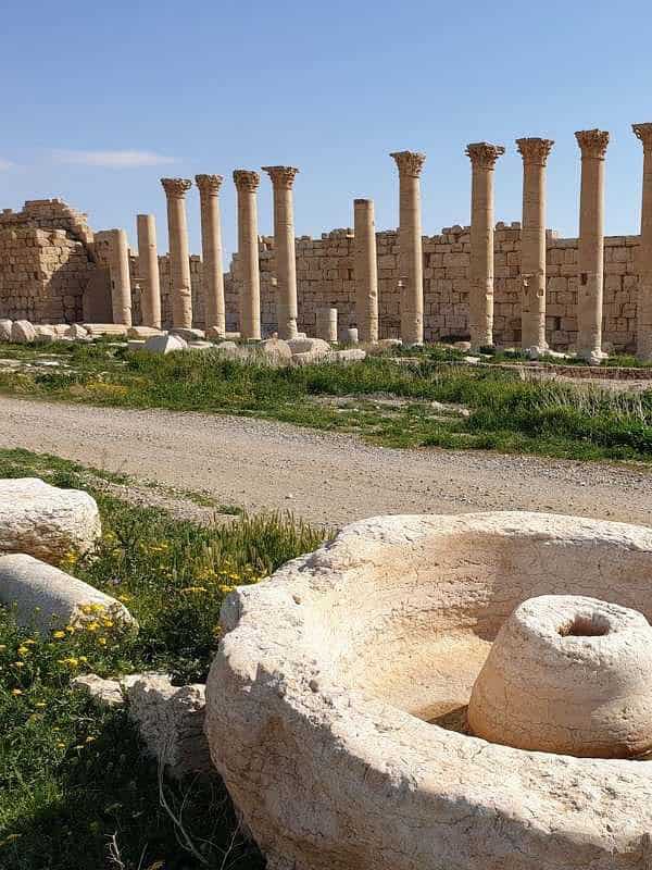 Palmyra Syria
