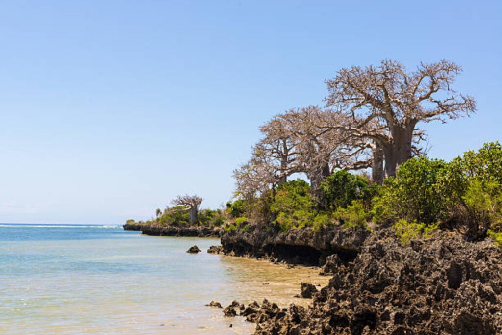 Pemba Island tanzania