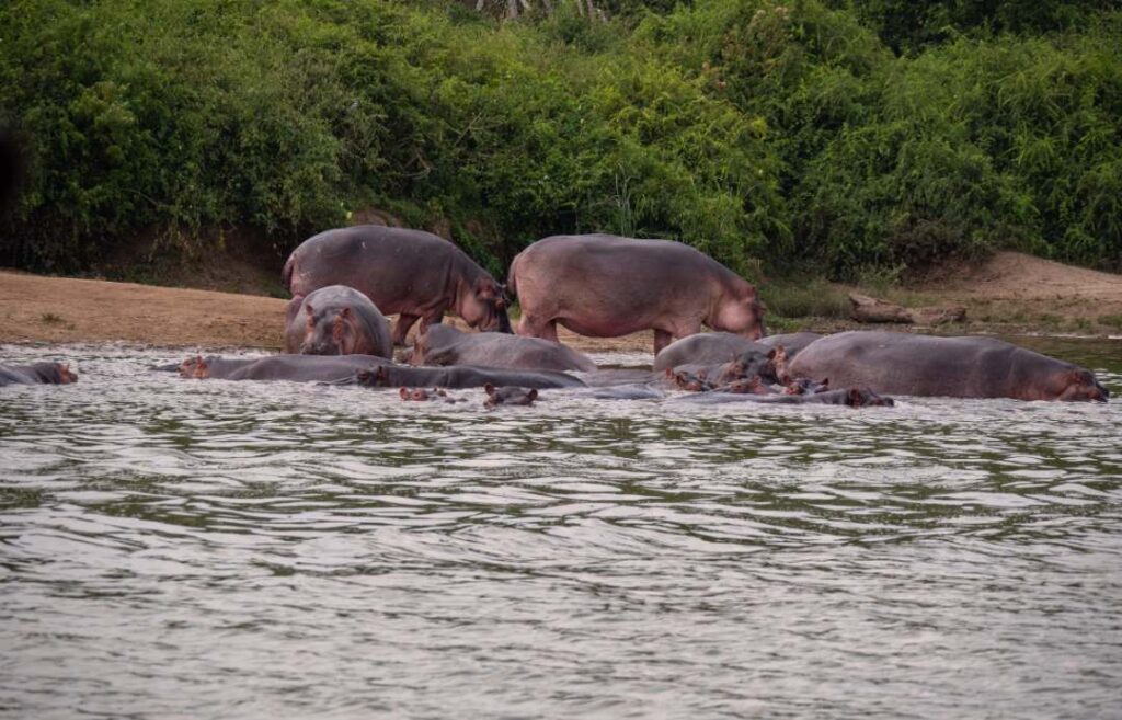 Queen Elizabeth National Park Uganda
