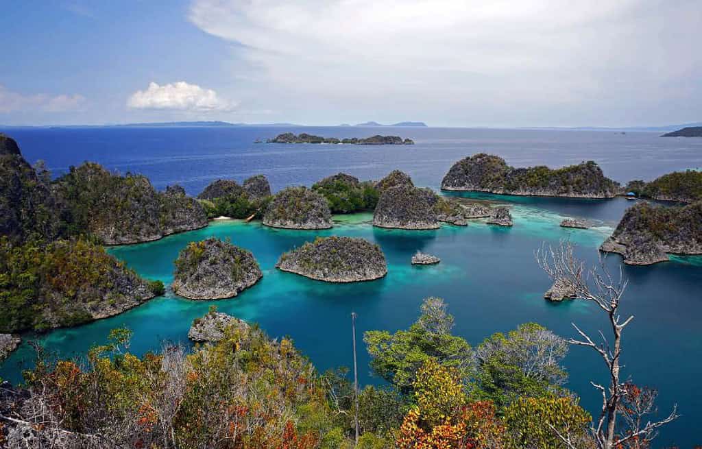 Raja Ampat Travel Destinations, Asia Raja Ampat Indonesia