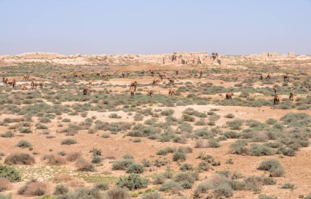 Repetek Reserve Turkmenistan