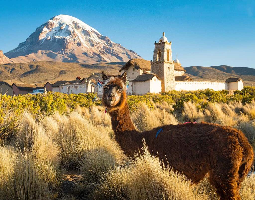 Sajama National Park Bolivia Travel Destinations, Americas, Featured Sajama National Park Bolivia